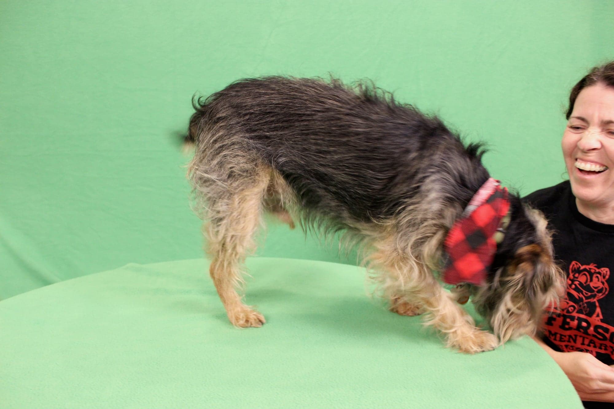 Outtakes Christmas Card 7