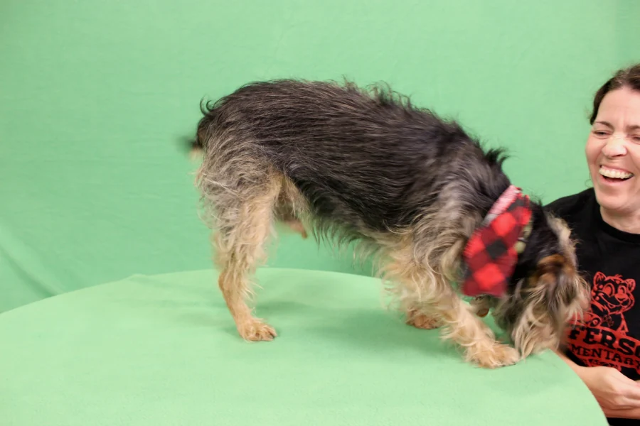 2025 Christmas Card 9